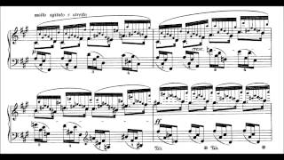 Chopin 24 Preludes Op28 Blechacz [upl. by Haskins824]