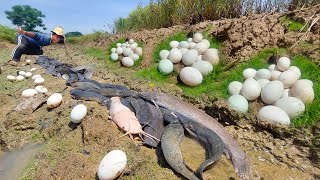 wow amazing fishing skill a fisherman catch fish​​ and eggs by hand best hand fishing [upl. by Gaves290]