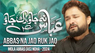 Abbas Na Jao Ruk Jao  Syed Raza Abbas Zaidi  Nohay 2024  Muharram 1446  2024  Mola Abbas Noha [upl. by Okiruy]