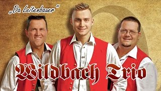 Wildbach Trio  quotDa Leitenbauerquot [upl. by Annayek516]