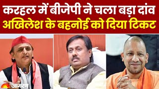 UP News Karhal में BJP ने चला बड़ा दांव Akhilesh Yadav के बहनोई को बनाया Candidate । Breaking News [upl. by Nathaniel]