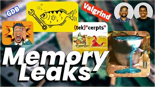 Memory Leaks in Applications  tekcerpts [upl. by Aliuqehs]