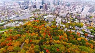 Aerial view Mount Royal Park MontRoyal  Montreal Quebec  Canada by drone at Fall [upl. by Burnsed997]