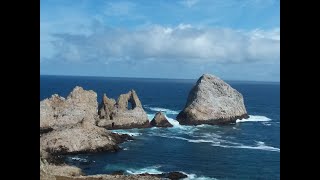 Farallon Islands Adventure walking tour [upl. by Rozek]