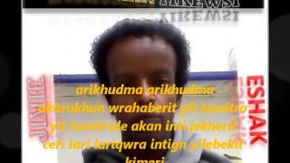 ERITREAN MUSIC BILEN MOHAMMED AFA 2013 [upl. by Ibot]