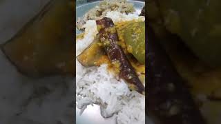 Home cooked Meal Rice Brinjal Sambhar Cabbage Poriyal Kongura Chutney and Pudina Thouiyal [upl. by Turino834]