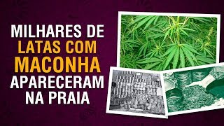 Verão da Lata um clássico da história doidona do Brasil  Maconha [upl. by Leahey588]