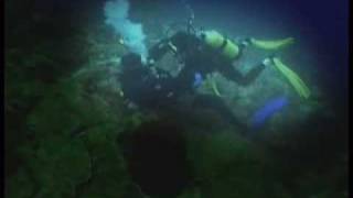 Fatal Divers Accident in Blue Hole Dahab episode 3 [upl. by Aixela]