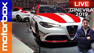 Alfa Romeo Giulia e Stelvio Quadrifoglio Racing  Una serie limitata dalla F1 [upl. by Ahsienat]