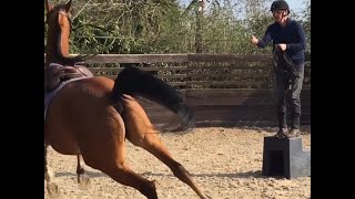 Michael Peace helps this Arab horse understand the mounting block after he had become unrideable [upl. by Dressel]