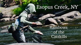 Euro Nymphing Esopus Creek NY Rainbows of the Catskills [upl. by Nica]