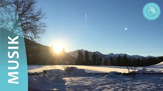 Verborgene Lebenskraft im Winter – MusikClip von Bruno GröningFreunden [upl. by Nekal]