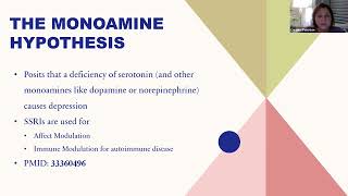 Monoamine Hypothesis [upl. by Nisbet373]