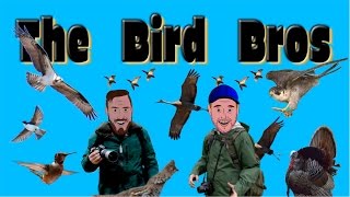 Claireville Conservation Area Home to Owls  The Bird Bros Ep 03 [upl. by Nelsen]