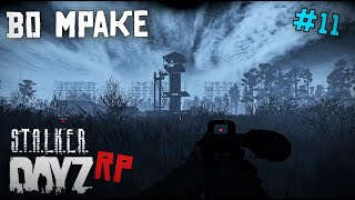 МРАЧНОЕ МЕСТО DAYZ STALKER RP 11 серия [upl. by Selway511]