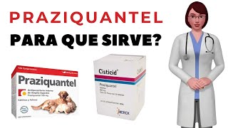 PRAZIQUANTEL que es y para que sirve praziquantel como usar praziquantel 600mg tablets [upl. by Lucienne]