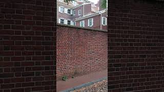 HAUNTED GHOST TOUR PHILLY [upl. by Inge]