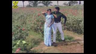 Chakravakam Telugu Movie Songs  Vellipo Vellipo Video Song  Shobhan Babu  Vanisri [upl. by Lhok]