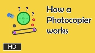 How photocopiers work [upl. by Lewert366]