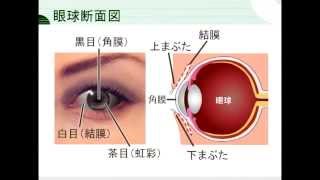 ウイルス性結膜炎 2006年07月収録 [upl. by Tolman]