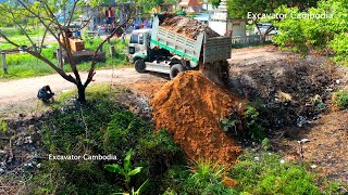 Good Activity Delete Pit By Miniature Truck Working Unloading Soil And Bulldozer D31P Push The Soil [upl. by Milissent]