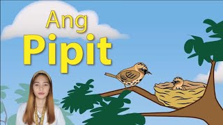 Ang Pipit by Levi Celerio Song Cover Nursery Rhymes Song [upl. by Tsai]