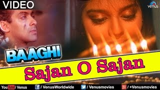 Saajan O Saajan Baaghi [upl. by Iseabal]