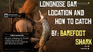 Longnose Gar Location and How to Catch  RDR2 Online [upl. by Silra]