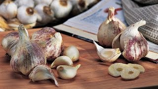 How to Plant Garlic [upl. by Alaet]