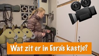 Wat zit er in Esras kastje  PaardenpraatTV [upl. by Galasyn850]