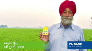 SWAL Feego  Sandeep Singh  Testimonial [upl. by Gates]