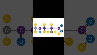 Asparagine C4H8N2O3 chem [upl. by Hube]