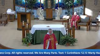 Gospel Homily Intercessions  Votive mass to the Holy Spirit [upl. by Atiuqa876]