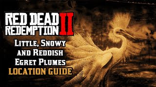 Little Snowy and Reddish Egret Plumes  Location Guide  Red Dead Redemption 2 [upl. by Radke226]