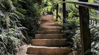 Thousands Steps Dendenong Ranges National Park Melbourne Australia [upl. by Swigart]