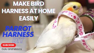 How To Make Harness for Parrot at Home  Parrot Harness DIY howto parrot harness petbird [upl. by Neilson]