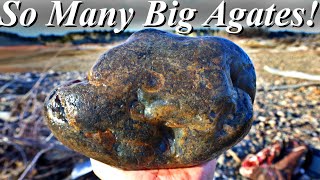 One of Our BEST Agate Hunts Yet Big Montana Agate Rockhounding Paradise [upl. by Meeharbi]