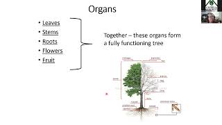 ISA Certified Arborist® Virtual Exam Prep Course Fall 2023 Ch1 BiologyCh9 Part 1 Support [upl. by Ulla]