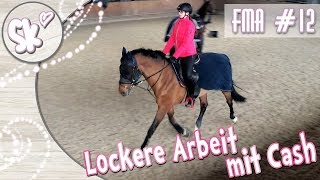 Komm mit in den Stall Lockere Arbeit mit Cash  03032018 [upl. by Namyh]