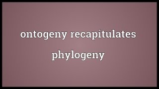 Ontogeny recapitulates phylogeny Meaning [upl. by Lemor]