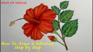 How to draw a hibiscus flower step by step  hibiscus drawing easy [upl. by Katerine]