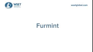 How to say it Furmint [upl. by Staffan54]