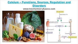 Calcium  Functions Sources Regulation and Disorders  Calcium Metabolism  Calcium [upl. by Aneehsar]