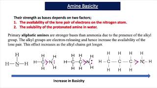 The Basicity of Amines A2 Chemistry [upl. by Demahum407]