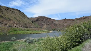 20240428  Fly Fishing Deschutes River  Maupin Oregon USA [upl. by Lanod463]