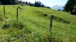 Rennrad Anstieg auf das Nebelhorn in Oberstdorf 2068 Meter [upl. by Deerc]