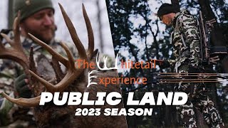 Public Land Bowhunting  Chasing Ohio bucks [upl. by Schonthal774]