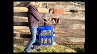 Equine Laminitis 2012 Update Part 4 from the Animal Health Foundation [upl. by Namlas]