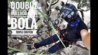 Tree Climbing  Triple Crotch Double Bulldog Bon  Bola  Gopro  Dmm Captain Hook [upl. by Esidarap]