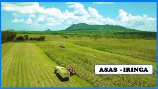 ASAS DAIRIES FARM LTD  SHAMBA LA MSISINA IRINGA TANZANIA [upl. by Enitsirt825]